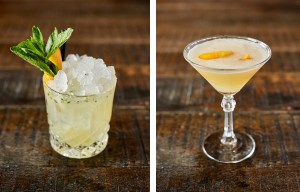 Trading House gin cocktails
