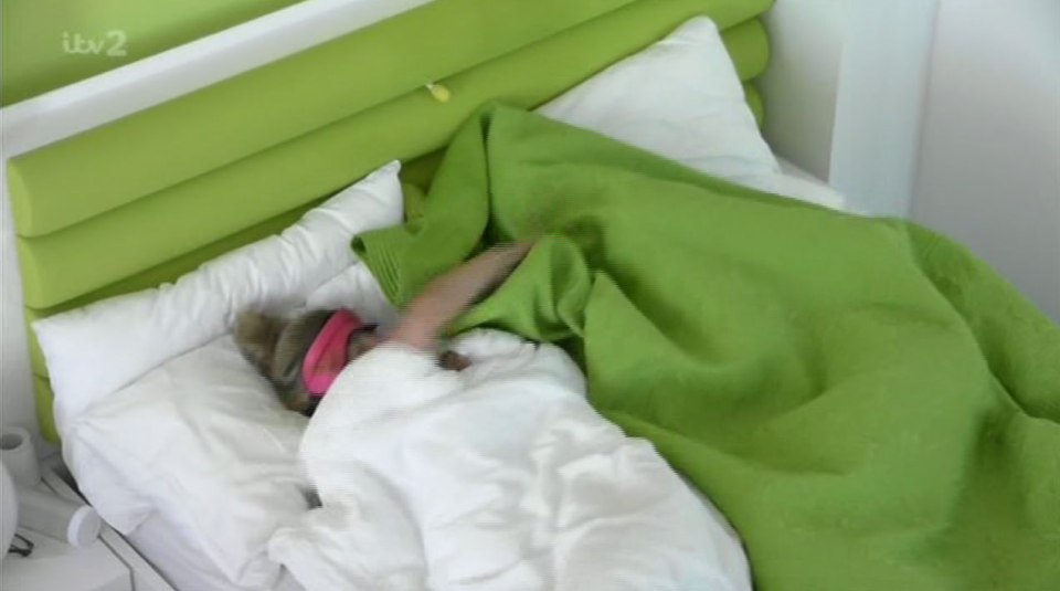 She gave him a friendly cuddle before hopping out of bed