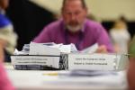 referendum count