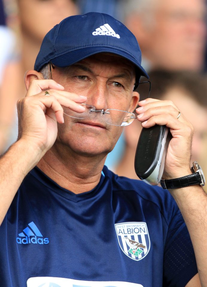 West Brom manager Tony Pulis says Robson-Kanu will be a useful signing but was not a main target
