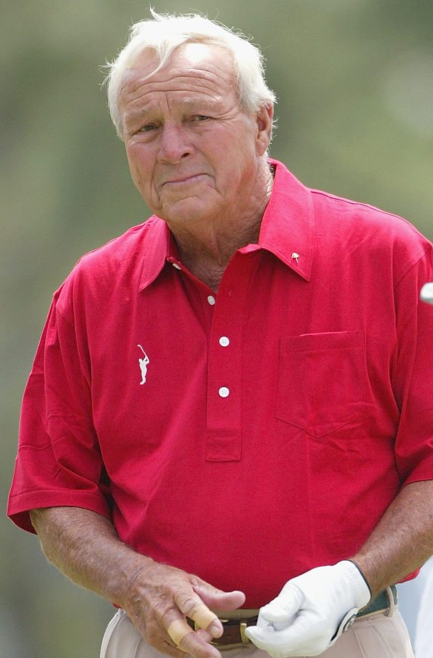 Gone but not forgotten ... Palmer died in Pittsburgh, following a decline in health