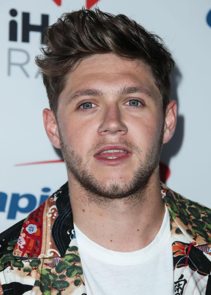 8. Niall Horan