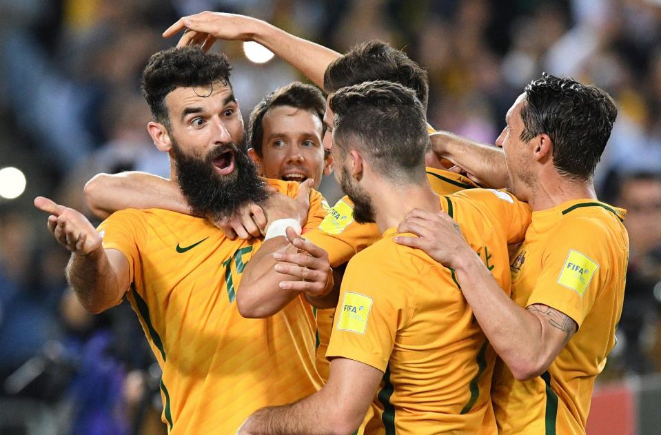  Australia are looking to the World Cup under new boss Bert van Marwijk