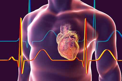 As your body acclimatises to the hot weather you may find your heart rate is faster