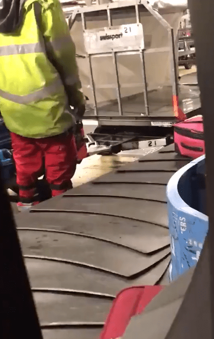 The handler decides which suitcase to throw onto the carosel next