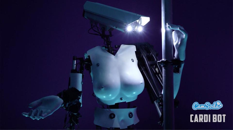 CardiBot