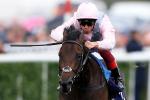 Too Darn Hot was impressive at Doncaster when last seen
