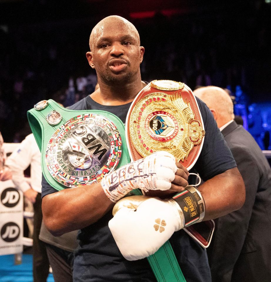  Dillian Whyte is trying to secure a world title bout but would be tempted by Wladimir Klitschko
