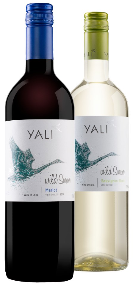  These delicious Chilean wines are on offer at the Co-Op for a limited time only