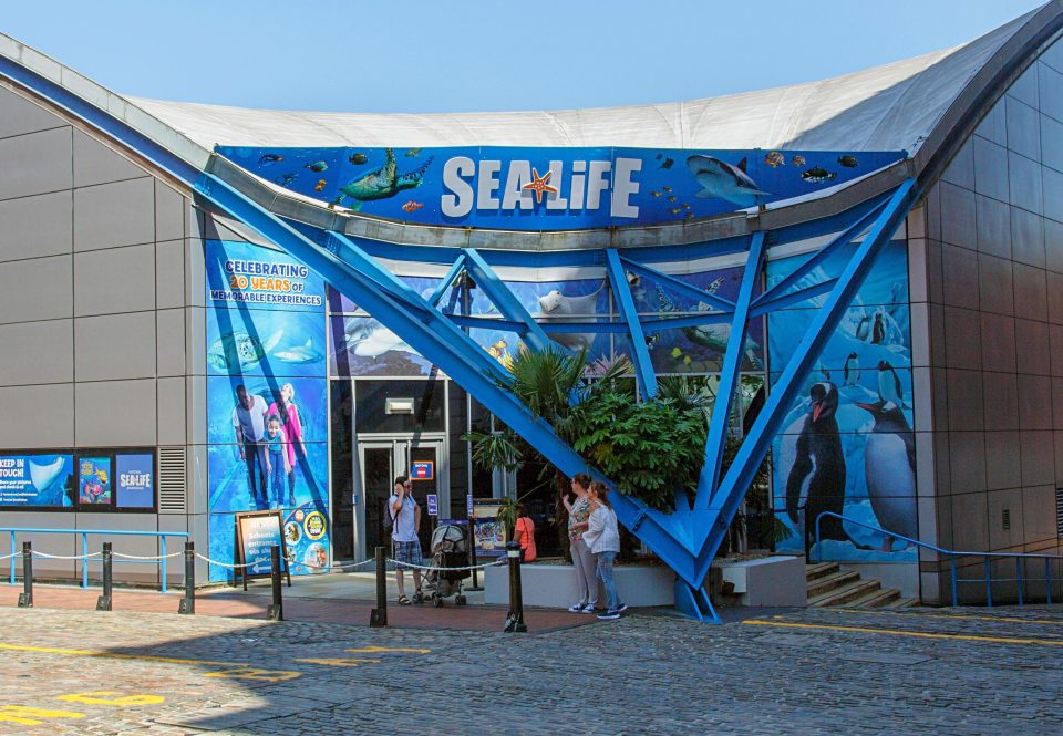 There are 12 aquariums across the country to choose from