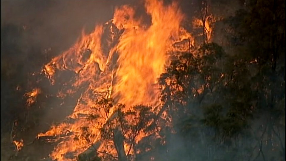 The wildfires have already teared down approximately 2,000 homes