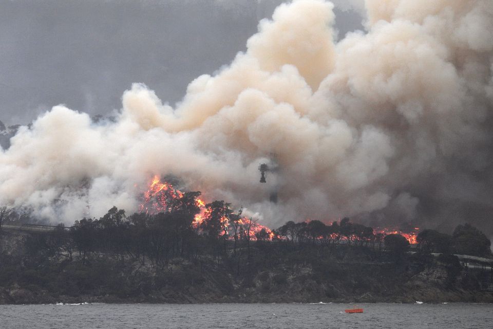 Actress Patricia Arquette used her acceptance speech to mention how Australia is on fire