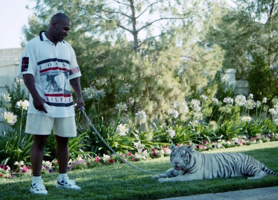 The American boxer got the exotic pet after a conversation with his car dealer and kept it for 16 years