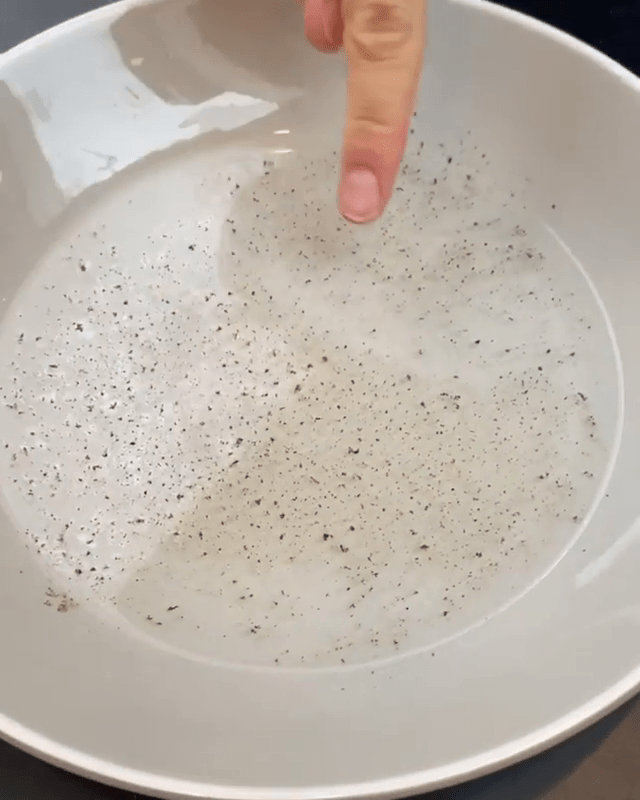  He used pepper granules to represent the germs