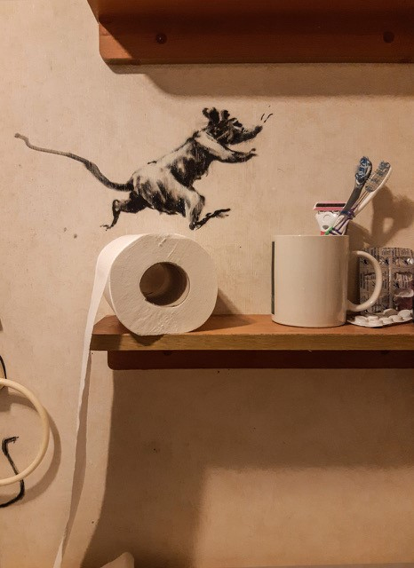  One of the rat pack runs across a toilet roll on the edge of a shelve