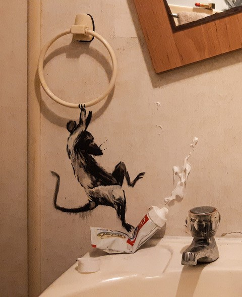 A rodent jumps on a toothpaste tube squeezing out its contents
