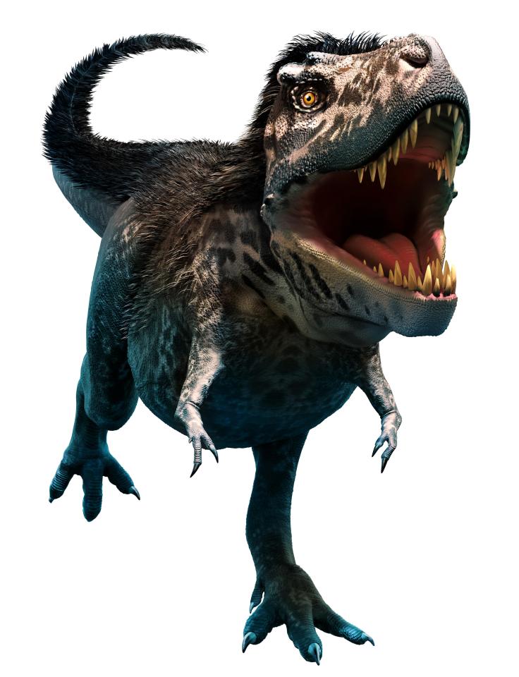 A new species of dinosaur related to the fearsome Tyrannosaurus Rex has been discovered on the Isle of Wight
