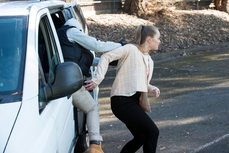 The mystery culprit bundled Harlow into a van