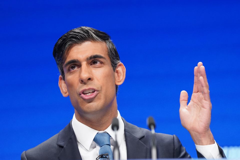 There are plenty of ways the Government and Chancellor Rishi Sunak could slash wasteful spending to ease hard-working taxpayers’ pain