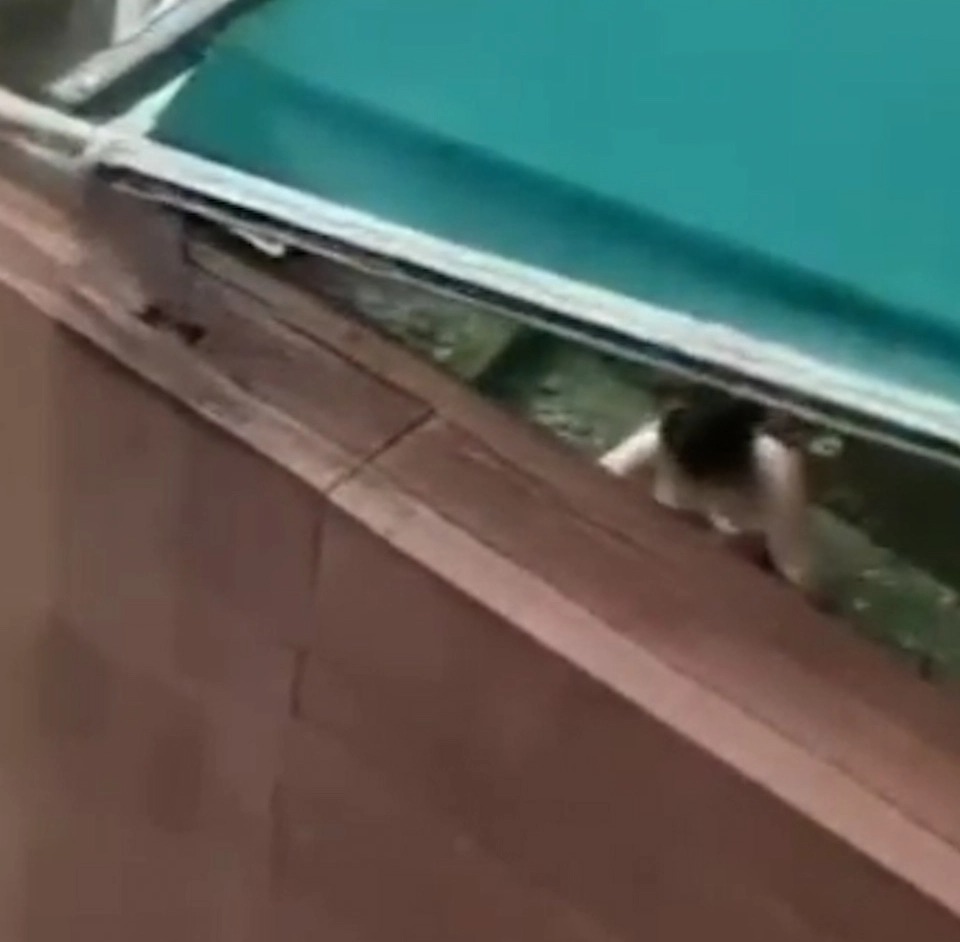Another pair were seen romping in the open-air jacuzzi next door