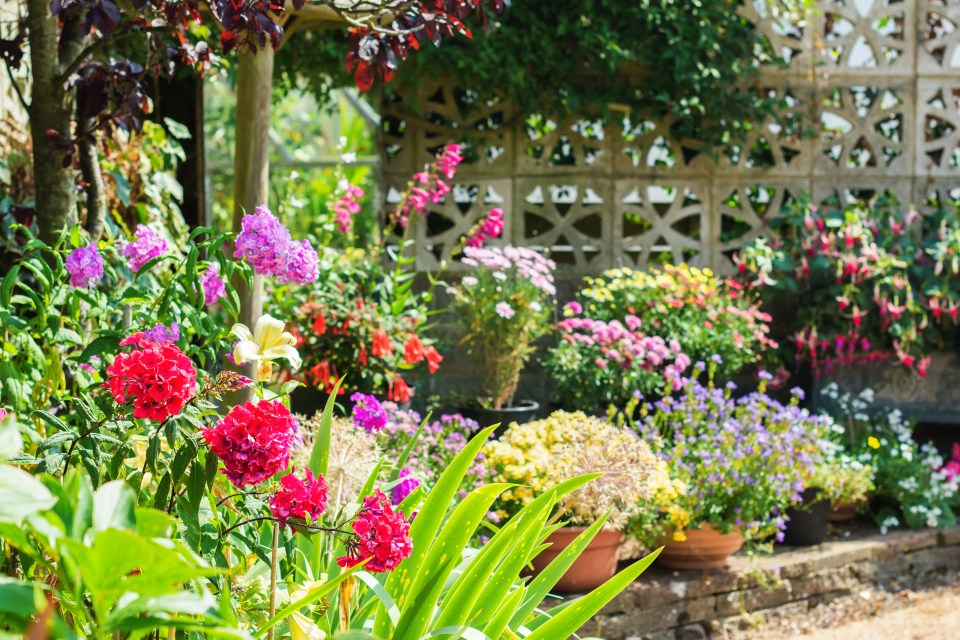 If you are green-fingered and are looking for alternative ways to water your plants, you've come to the right place
