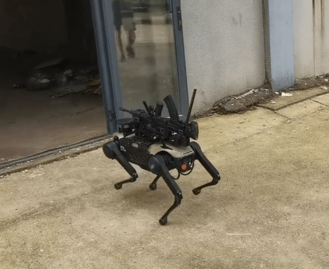 The Chinese robot dog has a large machine gun on its back