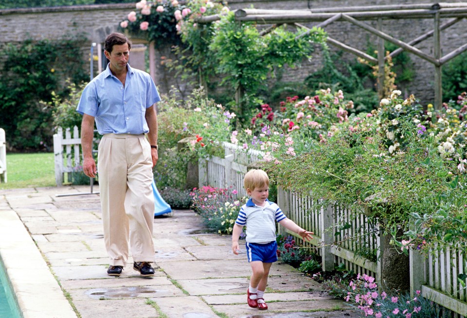 Prince Charles and a young Prince Harry walking by a garden pool.