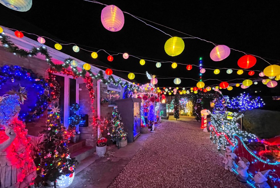 With electric prices surging, Pauline and Rob have decided to turn their lights on a bit less this year, as well as using eco-friendly LED lights