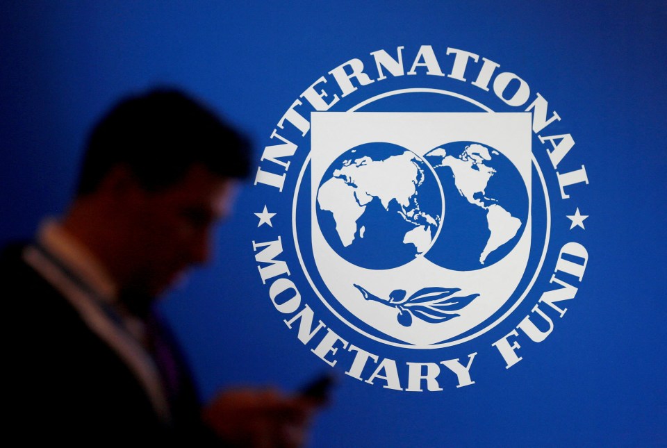 IMF logo on a blue background.