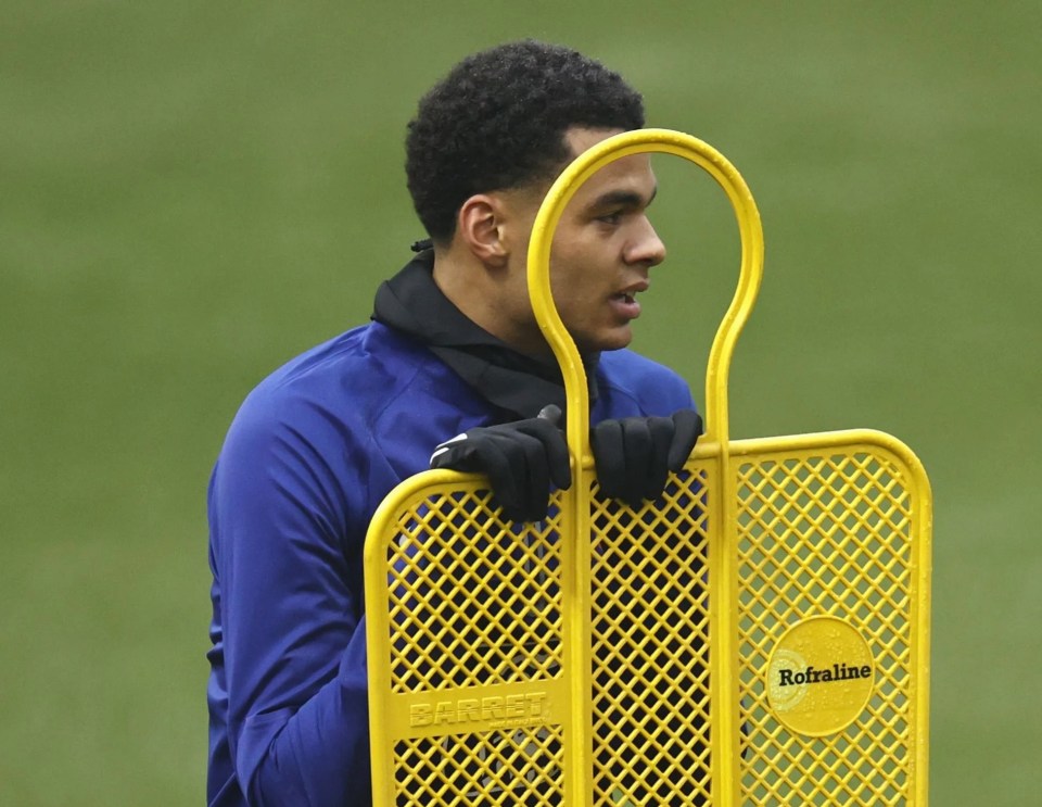 Cody Gakpo had joined up with the Dutch squad earlier this week