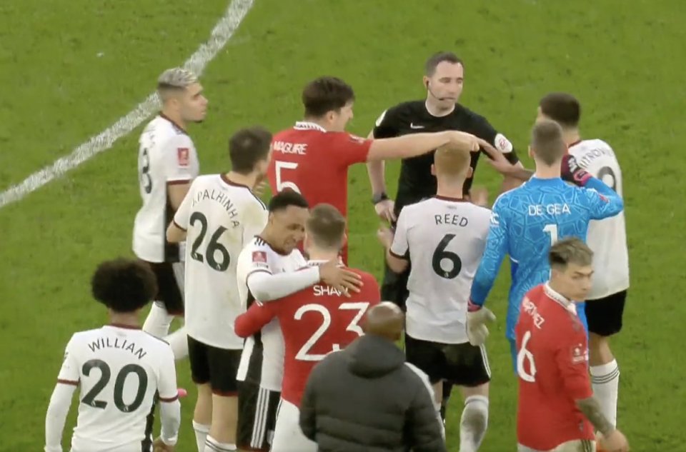 Fulham's Kenny Tete and Manchester United's Luke Shaw chose peace as they hugged