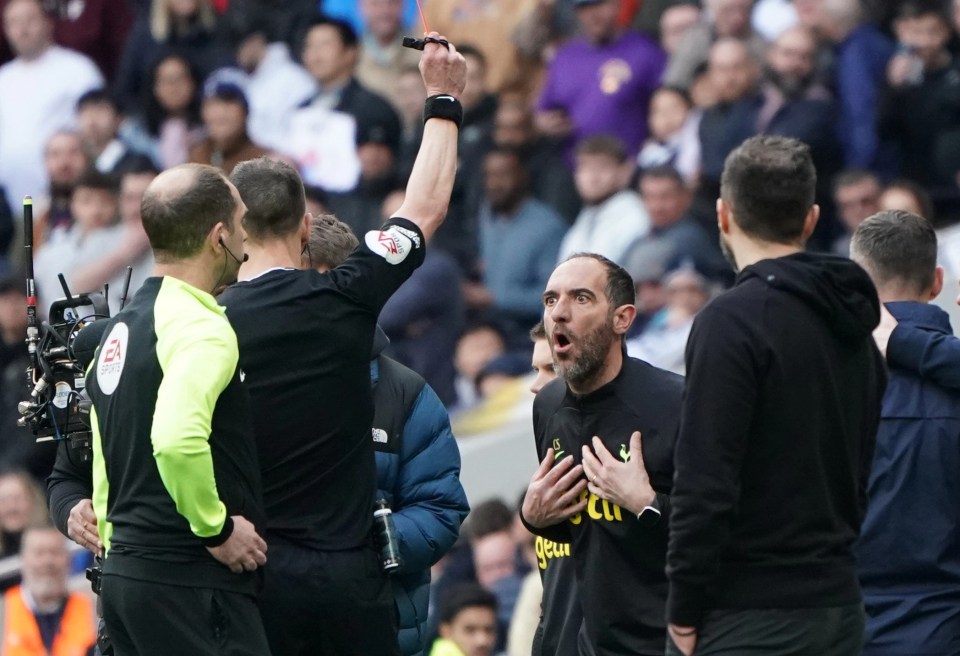 Stellini protested his innocence after being shown the red card