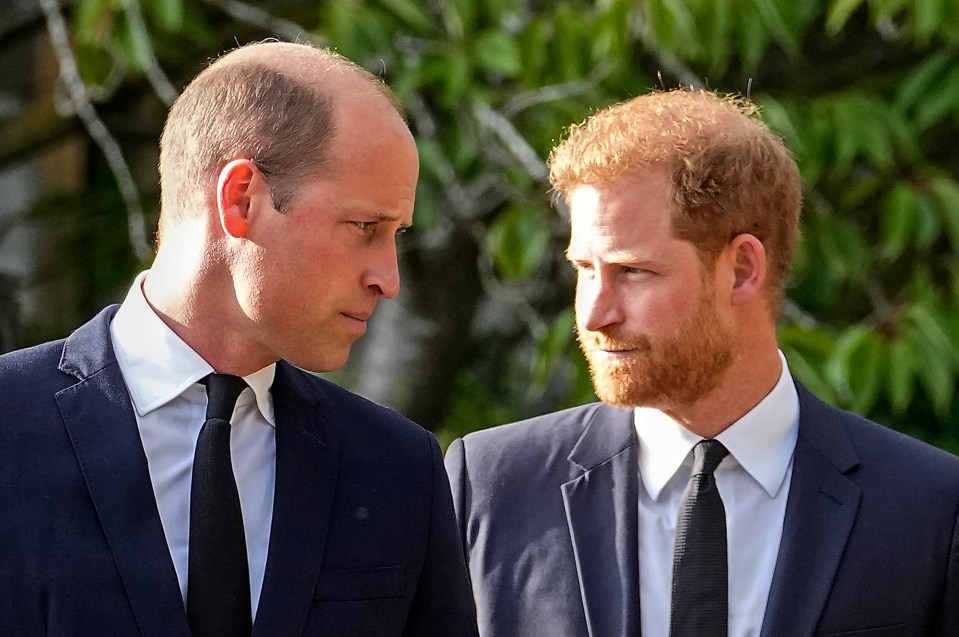 Paul attended the meeting alone and answered all of the princes' questions