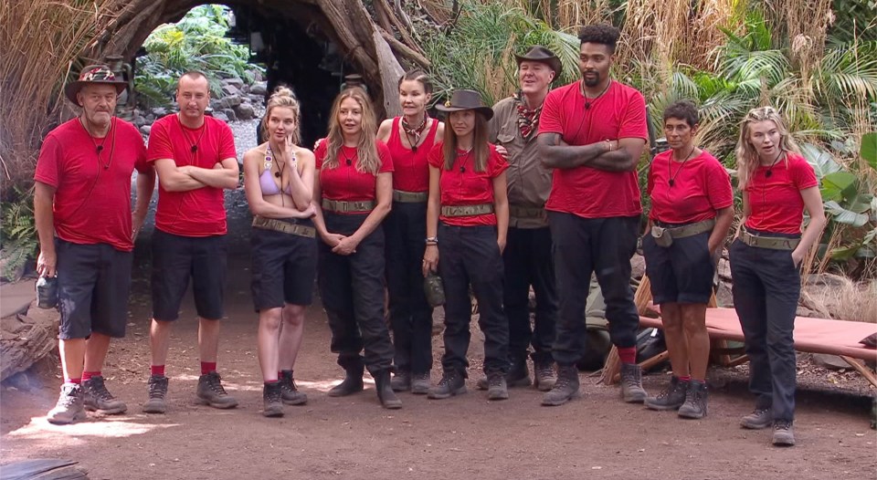 The celebrities were lined up side by side as they waited to be chosen by their campmates