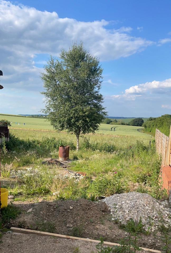 The huge garden was also very neglected too