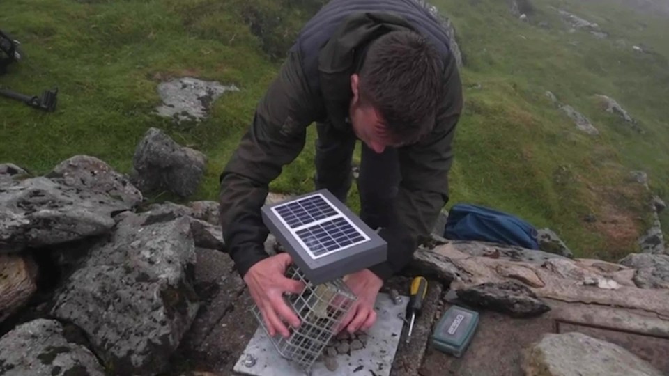Snowdon: Banana-cam to stop tourists' unappealing habits, , Snowdon: Banana-cam to stop tourists' unappealing habits, Close, A banana peel has been locked in a cage in a secret location up a mountain and will be filmed as it rots., , It is not an art installation but actually an attempt to stop walkers leaving litter in the area., , http://www.bbc.co.uk/newsround/av/66289431