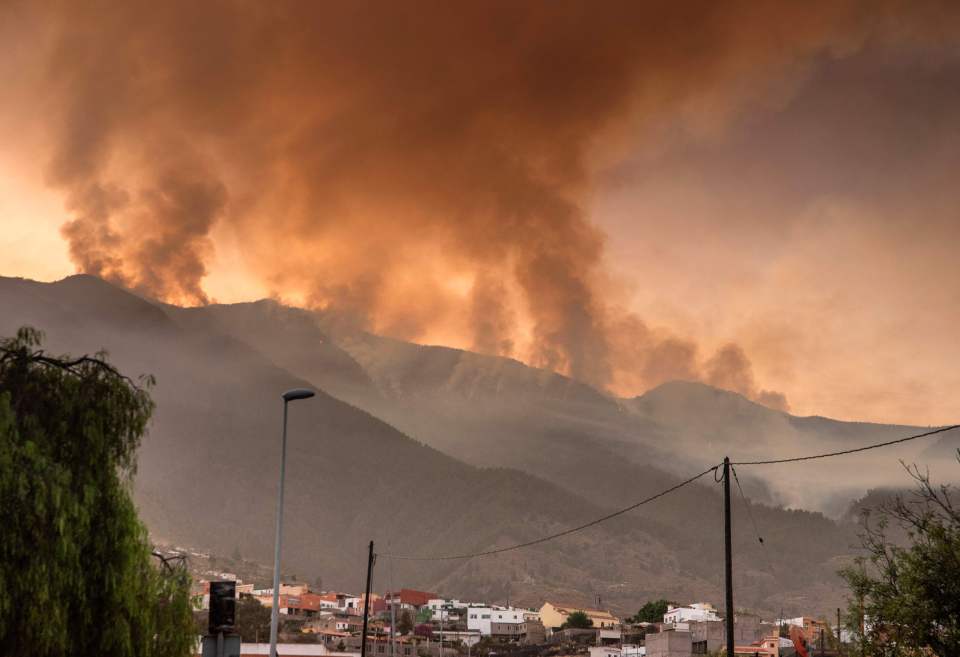 Smoke columns rise from a wildfire in a forested area of the Guimar valley
