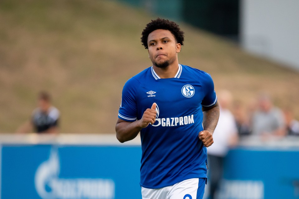 Weston McKennie has played in friendly matches at Parkstadion