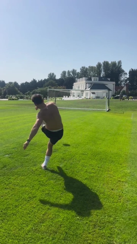 The star's huge mansion sits behind one of the nets