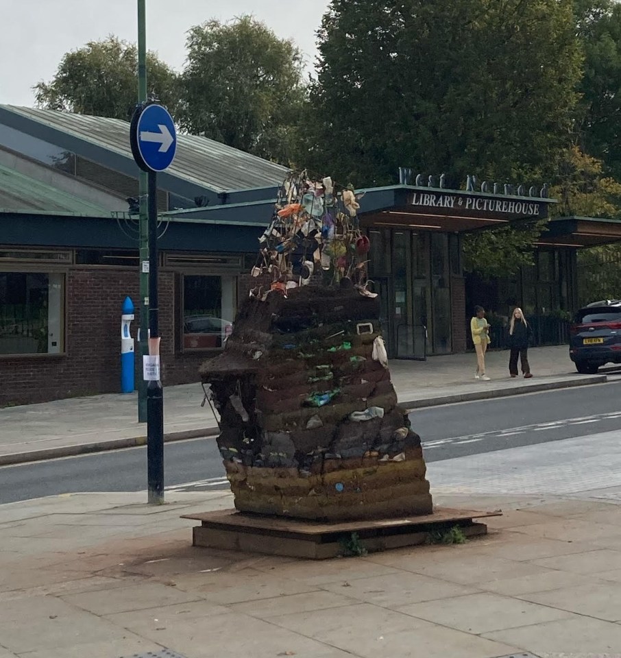 Some locals want the council to get rid of the art work