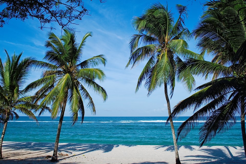 There is a scenic coastline along the Indian Ocean, where you can relax on the beach or test your skills at watersports, diving and snorkelling