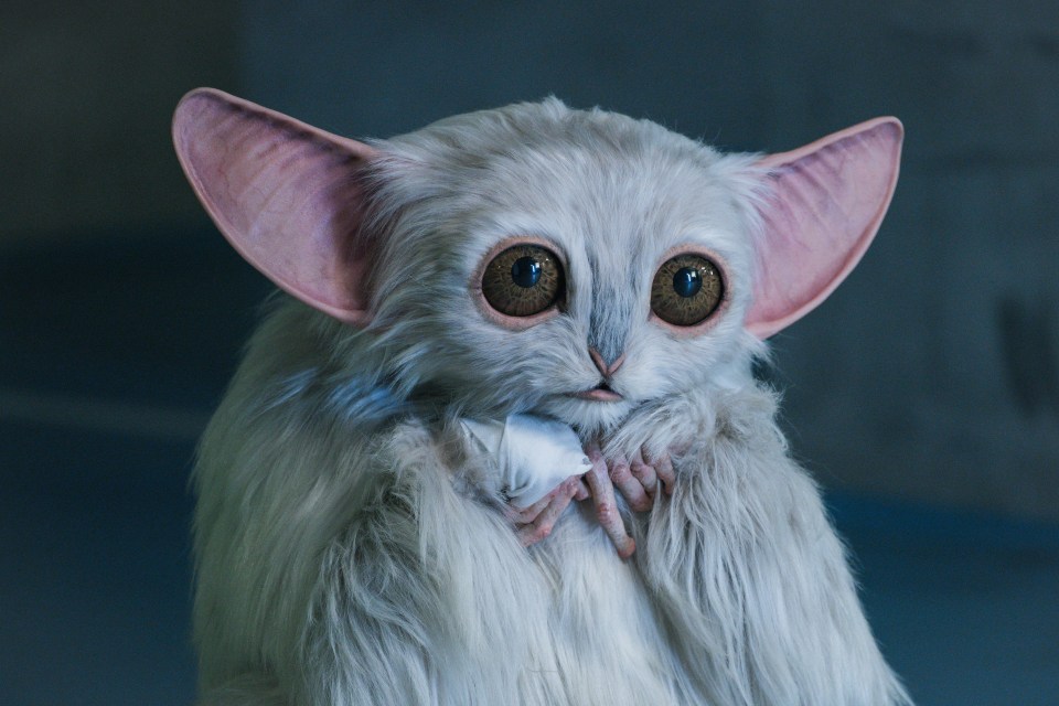The Meep from Doctor Who