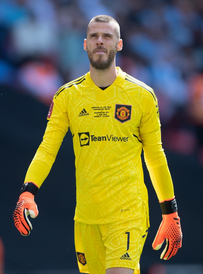 Eddie Howe insists the club have NOT made contact with David de Gea
