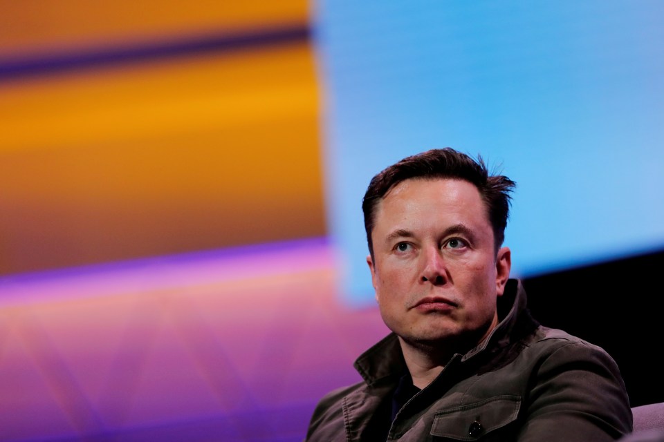 Musk's Neuralink project has been subject to criticism for alleged monkey deaths