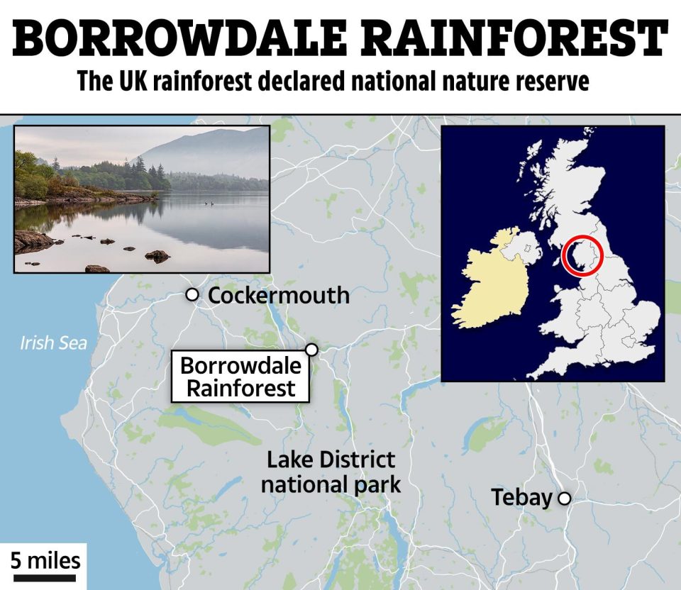 The area has been named a national nature reserve as part of the King's Series