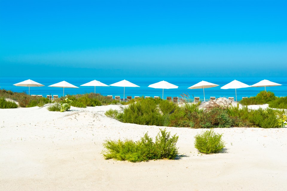 Saadiyat Island is full of beautiful beaches