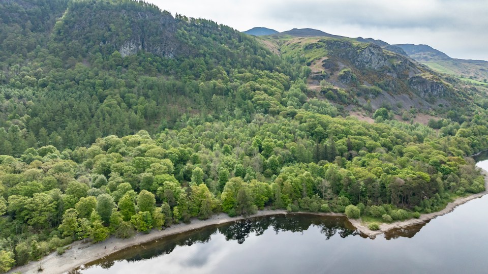 Borrowdale Rainforest is the biggest temperate rainforest in the country