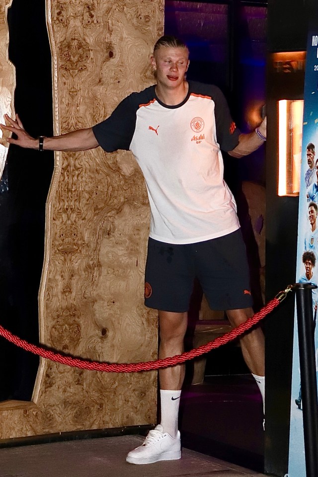 Haaland also appeared to enjoy the title party