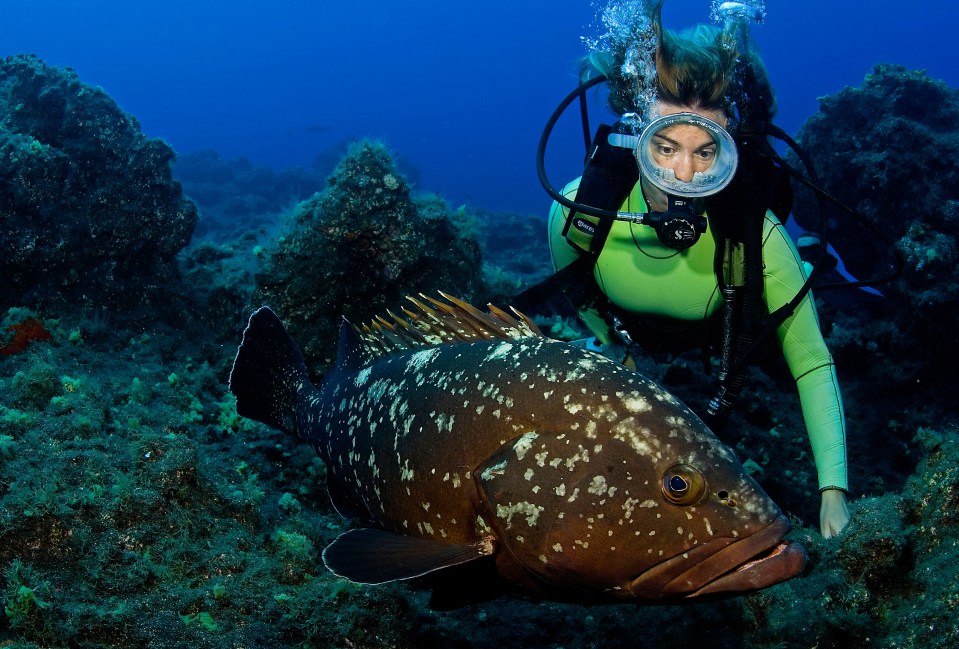 The island is popular with divers