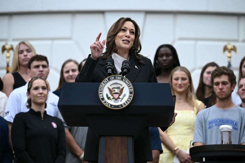 Kamala Harris raised $50million in donations as she emerged as Joe Biden’s replacement in the race for the White House